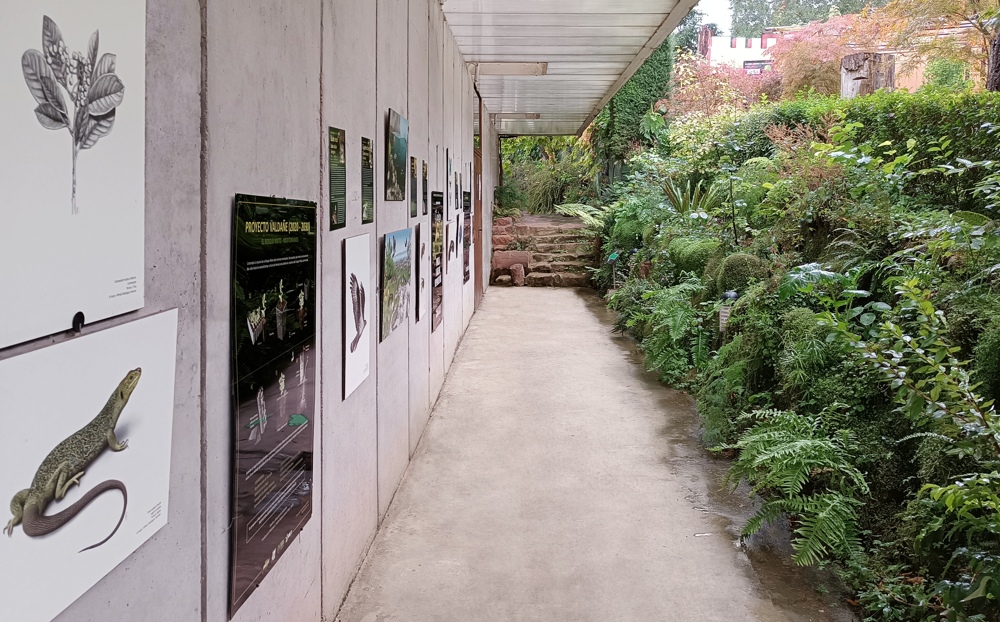 Exposición sobre la ilustración científica en el Jardín Botánico de La Rioja