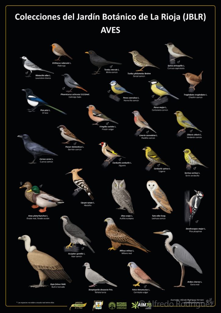 Cartel con ilustraciones sobre las especies de aves presentes en el Jardín Botánico de La Rioja