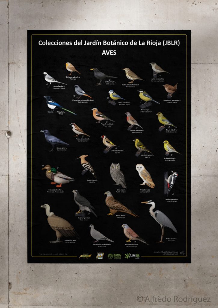 Cartel con ilustraciones sobre las aves presentes en el Jardín Botánico de La Rioja