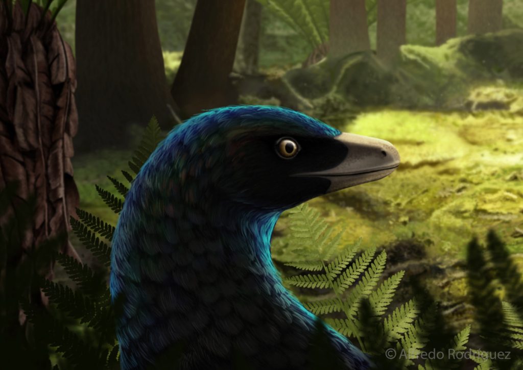 Ilustración científica de un Microraptor gui en un bosque del cretácico